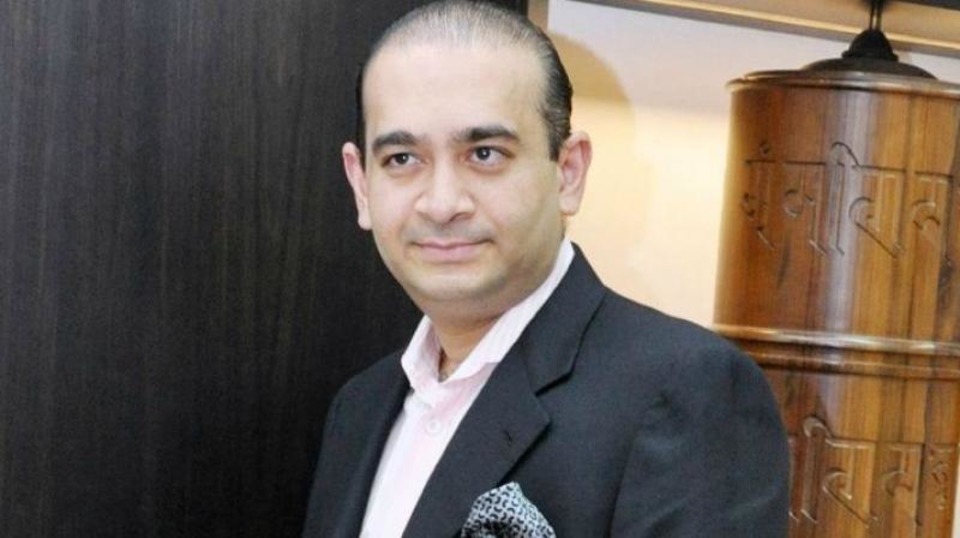 Nirav Modi extradition case: UK judge admits CBI, ED evidence